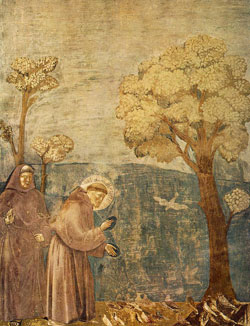 Image of St. William Firmatus