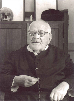 Image of St. Gaetano Catanoso